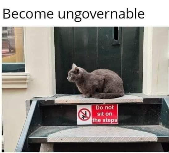 (A cat sitting on a step) … Become ungovernable … (Sign) “Do not sit on the steps”