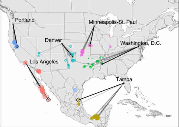 A map of USA.
Climatic analogs for some North American urban areas in the late 21st century.
For each of the six example cities, colored triangles and circles indicate the location of the best contemporary climatic analog to 2080’s climate for the 27 future climate scenarios for RCP8.5. Triangles indicate representative contemporary analogs (<2σ) and circle size indicates increasingly poor analogs. Colored diamonds and bold lines indicate contemporary climatic analogs for the ensemble mean across the 27 individual projections.