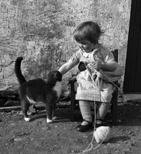 Black and white photo of an adorable little white girl who is sitting in a little wooden chair outside, holding some knitting work attached to a ball of yarn that is rolling around on the ground. She has paused in her work to sweetly pat a sweet, happy black or grey tuxedo kitty who has come to visit.