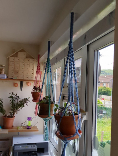 Three terracotta pots in macrame hangers in front of a window