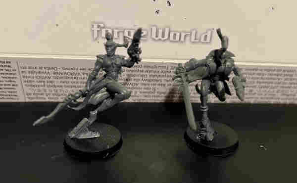 Two Warhammer 40K miniatures 

Female harlequin with fusion pistol and glaive, twisting in midair as she leaps.

Male harlequin in a long coat charging forward, armed with fusion pistol and sword. 