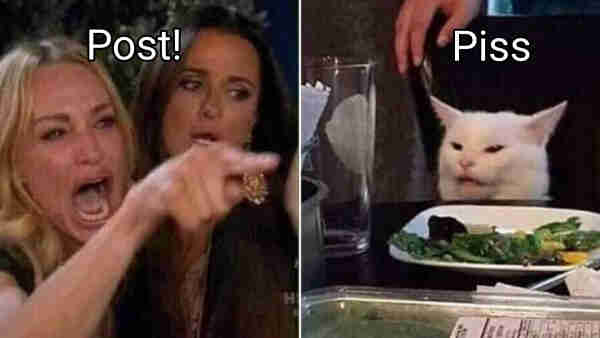 woman yelling at cat meme
she's yelling 'Post!'
the cat replies with 'Piss'