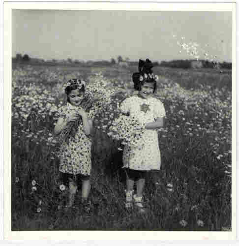 Two grls holding glowers standing in a grassy field full of lowers. The girl on the right is smiling. On her dress she wears a Jewish star - that marked Jews in occupied Netherlands.