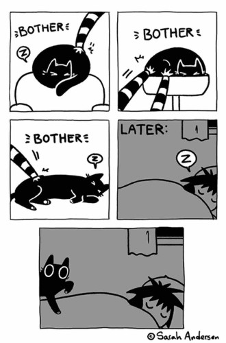 5 panel comic by Sarah Anderson:
1st-3rd panels: a human’s hand(s) touching an annoyed cat who is trying to sleep in various locations during the day with text reading “BOTHER”
4th panel: the human’s bedroom at night, with text reading “LATER:”
5th panel: the cat sneaking up to the human’s face
