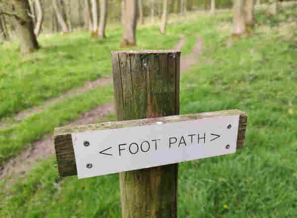 A wooden sign in the grassy woods in white saying <FOOT PATH>