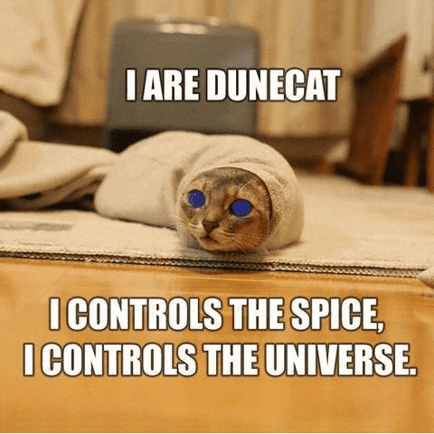 A cat with overly blue eyes that is wrapped in a beige towel like a burrito with only its head showing. The caption: I  are dunecat. I controls the spice, I controls the universe.