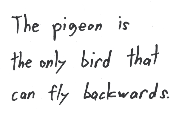The pigeon is the only bird that can fly backwards.