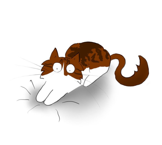 A cartoon of a tabby and white Maine Coon cat pouncing on nothing.