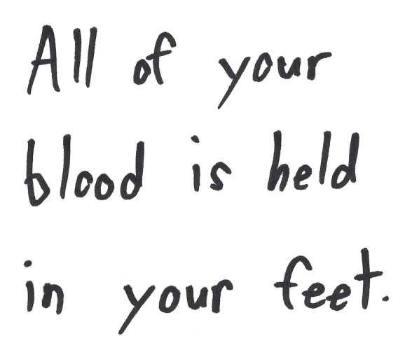 All of your blood is held in your feet.