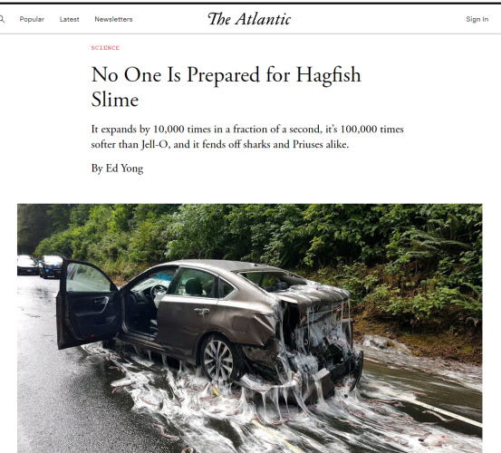 "The Atlantic

No One is Prepared for Hagfish Slime

It expands by 10,000 times in a fraction of a second, it's 100,000 times softer than Jello-O, and it fends off sharks and Priuses alike"

[Picture of Prius covered in slime]