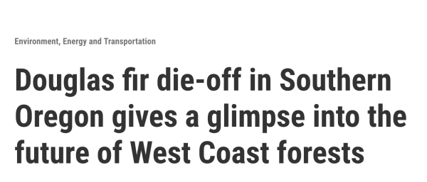 Headline from linked article: Douglas fir die-off in Southern Oregon gives a glimpse into the future of West Coast forests.