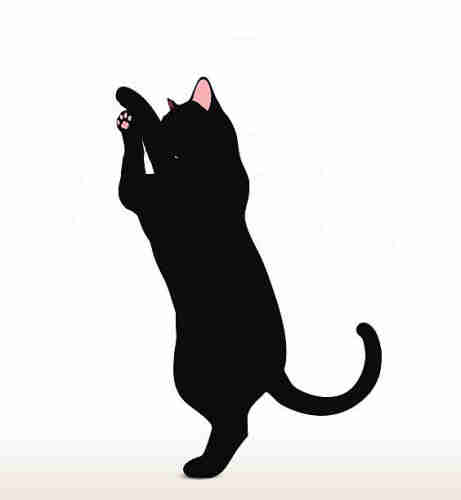 Minimalistic digital artwork of a black cat with a pink inside of it's ear and it's paw, standing up, to a very light grey background. 