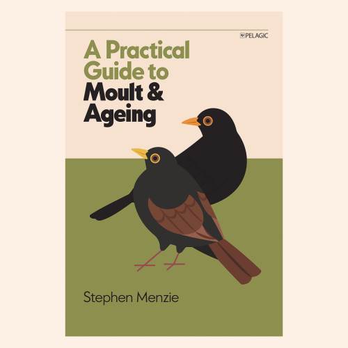 A Practical Guide to Moult & Ageing by Stephen Menzie featuring a flat illustration of a pair of Eurasian Blackbirds on the cover.