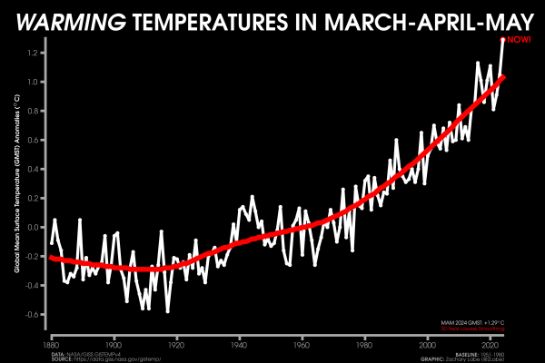 Line graph time series of global mean surface temperature anomalies for every March-May from 1880 through 2024. A red 30-year lowess smoothing line is also shown. Anomalies are computed relative to a 1951-1980 baseline. The global mean surface temperature anomaly in March-May 2024 was +1.29°C. There is large interannual variability and a recent long-term warming trend.