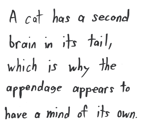 A cat has a second brain in its tail, which is why the appendage appears to have a mind of its own.