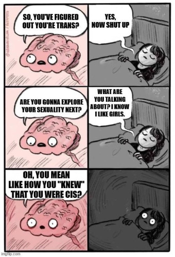 Meme of person whose brain won't let them go to sleep.

Brain: So, you've figured out you're trans?
Person: Yes, not shut up.
B: Are you gonna explore your sexuality next?
P: What are you talking about? I know I like girls.
B: Oh, you mean like how you "knew" that you were cis?
P: *eyes fly open*