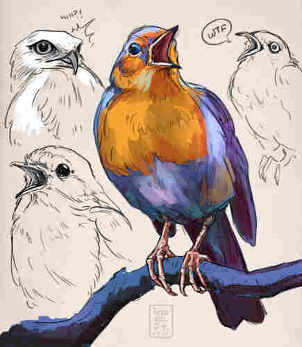 sketches of birds, one has a speech bubble that says "wtf"