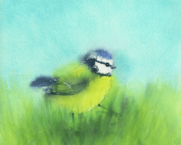 Morning walk is a watercolor painting in landscape format painted by the artist Karen Kaspar. A cute little blue tit is walking across a meadow through fresh green grass. The blue sky shines above her. The bird's delicate plumage glows in shades of yellow and blue in the morning sun.